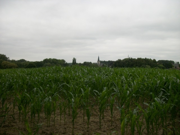 078-Landelijk landschap met kerk van Meldert