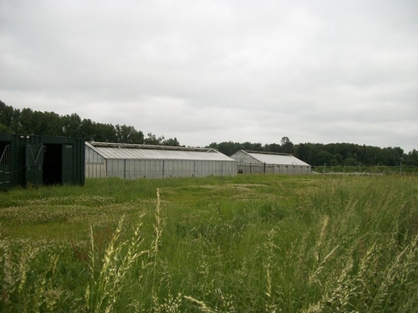 084-Terugtocht alle afstanden..