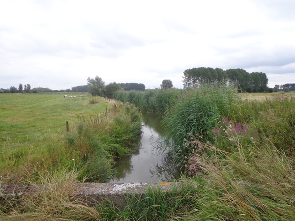 Beekjes doorkruisen de Meersen