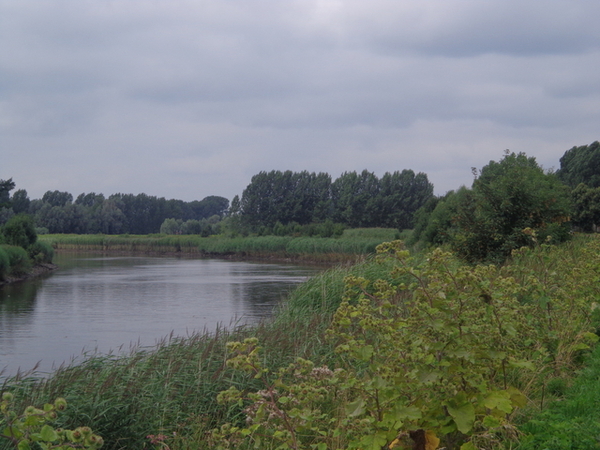 Zicht op de Schelde