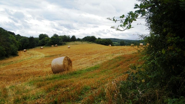 marche adeps Sart-en-Fagne