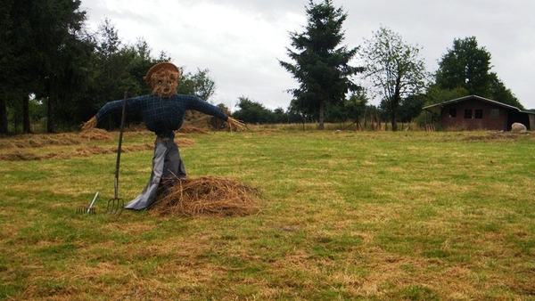 marche adeps Sart-en-Fagne