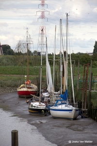 IMG_1396