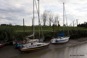 IMG_1426