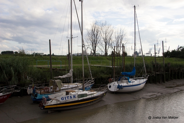 IMG_1426