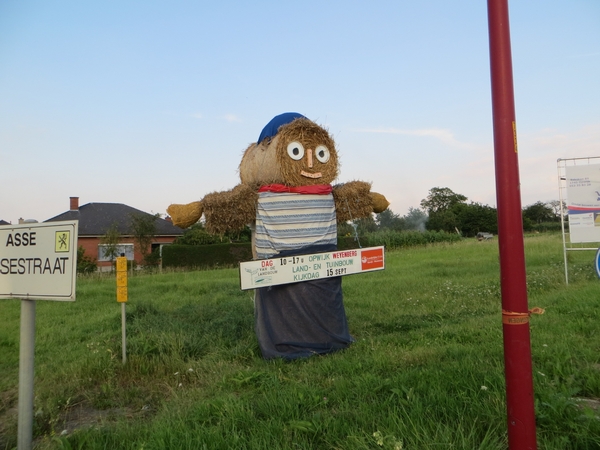 2013-08-20 Asse-ter-Heide 006