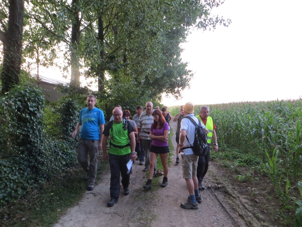 2013-08-20 Asse-ter-Heide 011