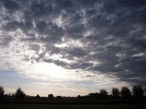 Roesbrugge2009071301