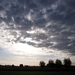 Roesbrugge2009071302