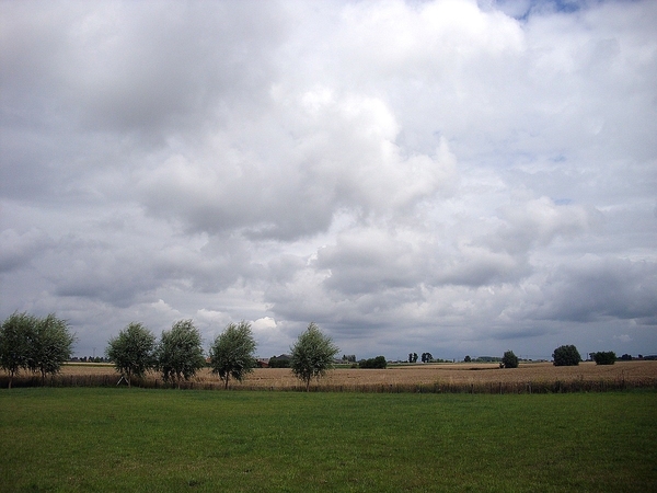 Roesbrugge2009072301