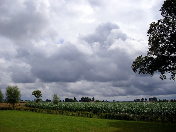 Roesbrugge2009072302