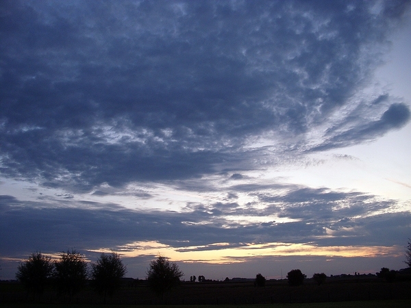 Roesbrugge2009090701