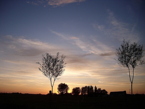 Roesbrugge2009090801