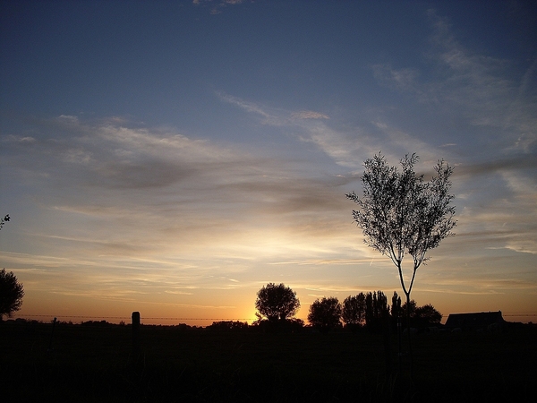 Roesbrugge2009090802