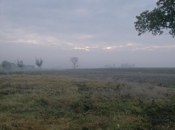 Roesbrugge2007100907