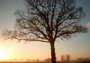 Roesbrugge2007121204