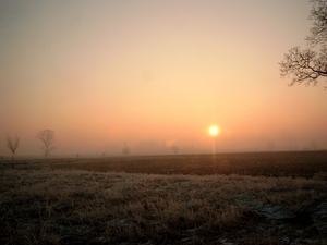 Roesbrugge2007122004