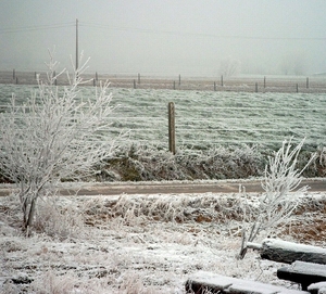 Roesbrugge2007122118