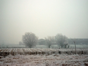 Roesbrugge2007122119