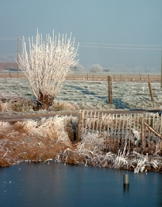 Roesbrugge2007122122