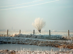 Roesbrugge2007122131