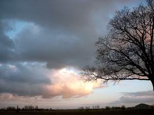 Roesbrugge2008010632