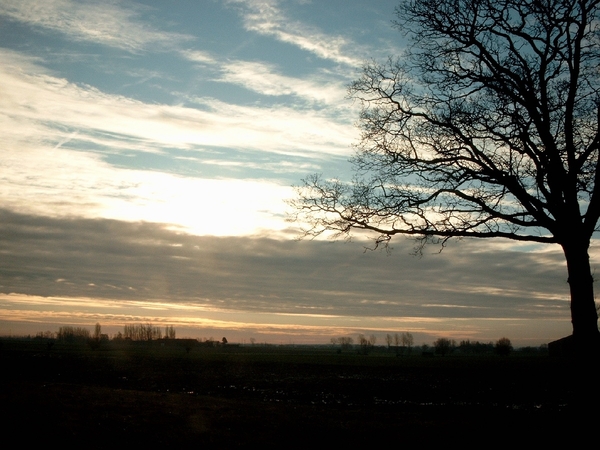 Roesbrugge2008010846