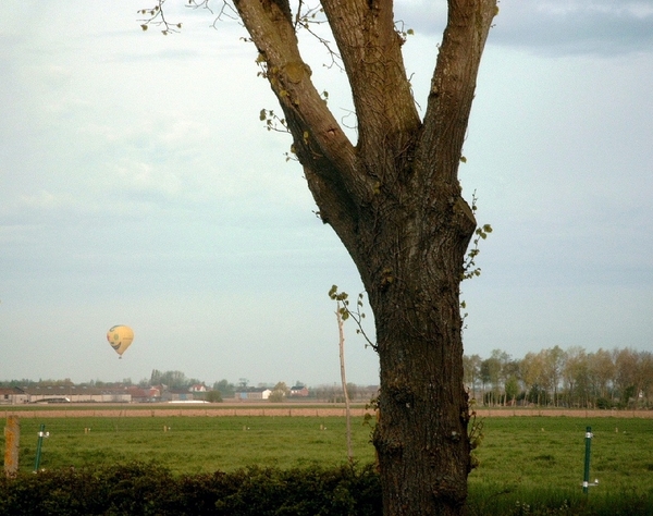 Roesbrugge2008042725