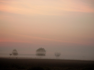 Roesbrugge2008042727