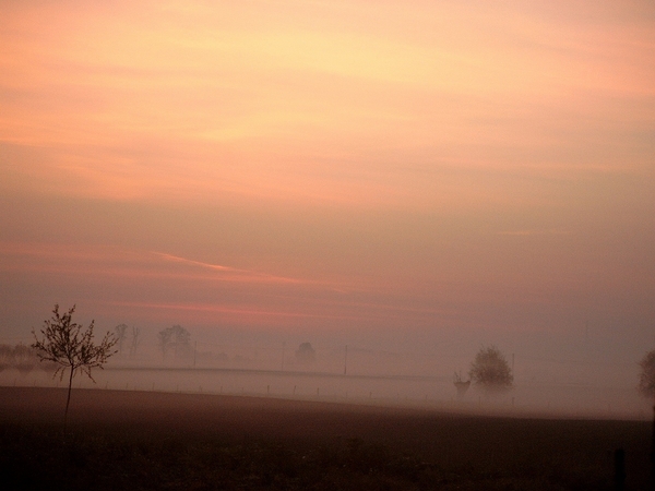 Roesbrugge2008042728