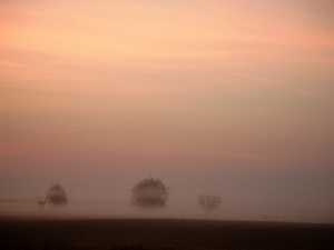 Roesbrugge2008042729