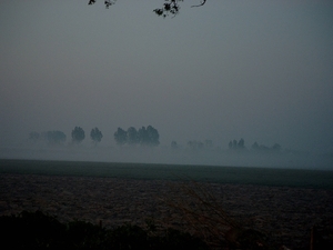 Roesbrugge2008042730