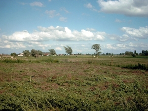 Roesbrugge2008052846