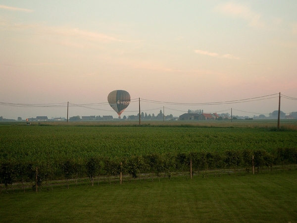 Roesbrugge2008060318