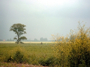 Roesbrugge2008061426