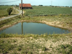 Roesbrugge2008062669