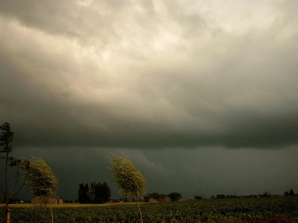 Roesbrugge2008071001