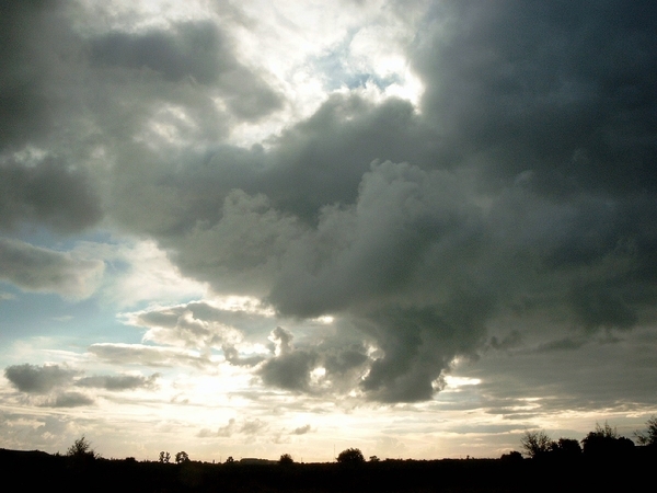 Roesbrugge2008072102