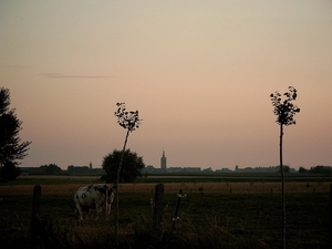 Roesbrugge2008072838