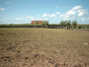 Roesbrugge2008081256