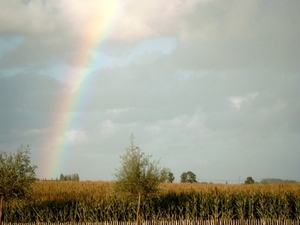 Roesbrugge2008090196