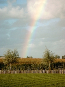 Roesbrugge2008090197