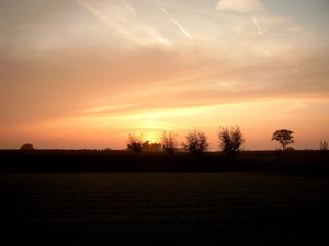 Roesbrugge2008091305