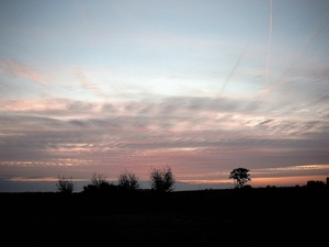 Roesbrugge2008100224