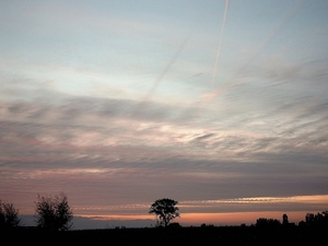 Roesbrugge2008100225