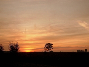 Roesbrugge2008101027