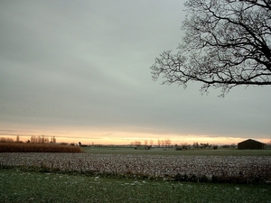Roesbrugge2008112301