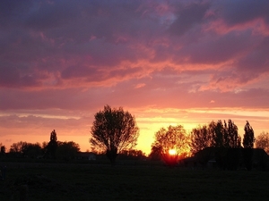 Roesbrugge2009042602