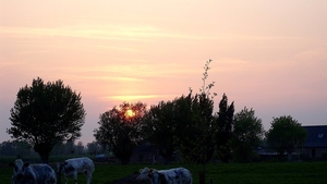 Roesbrugge2009050802