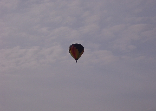 Roesbrugge2009050910